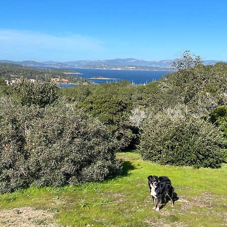 Latitudes 43 Lejlighed Porquerolles Eksteriør billede