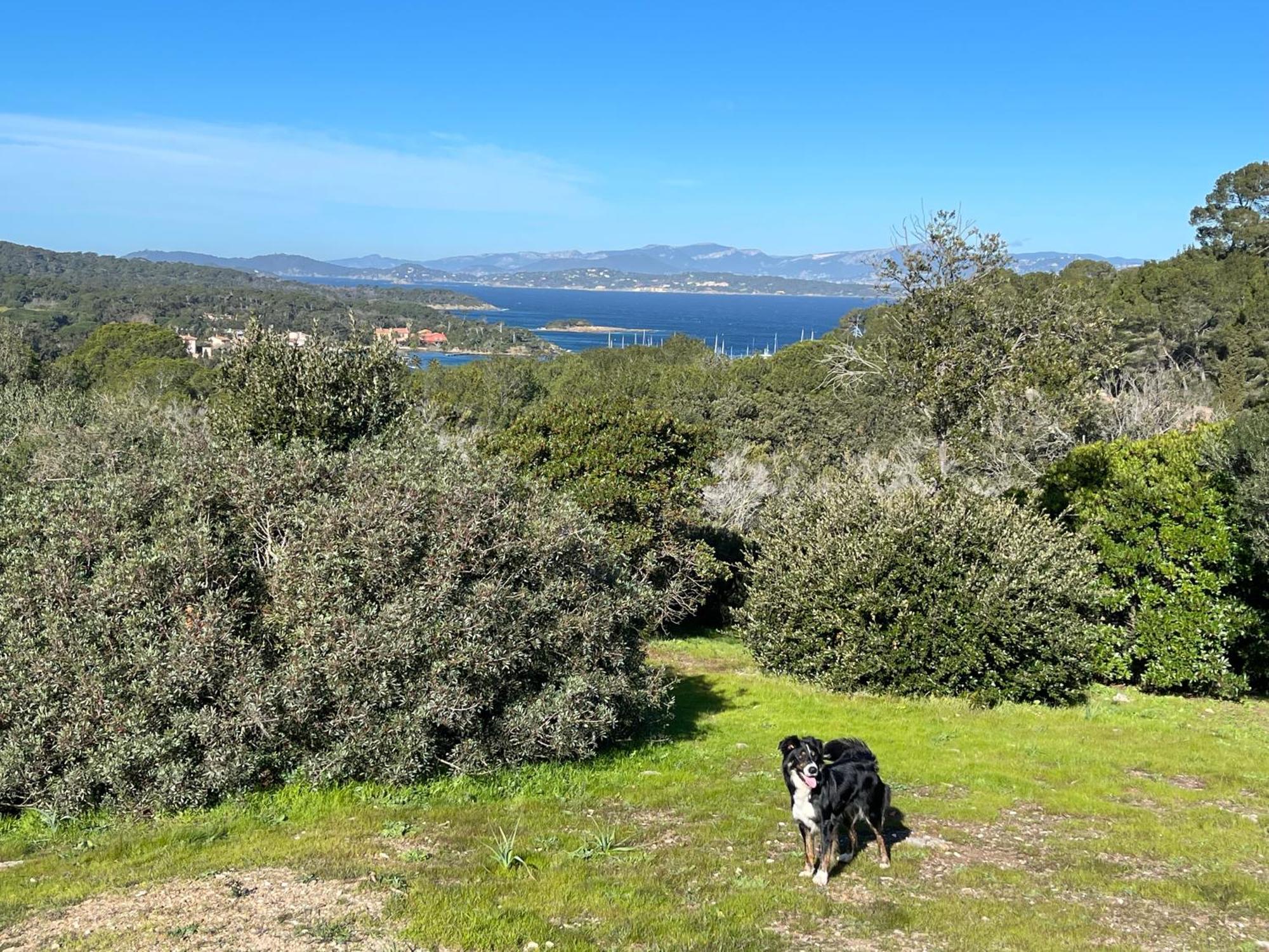 Latitudes 43 Lejlighed Porquerolles Eksteriør billede