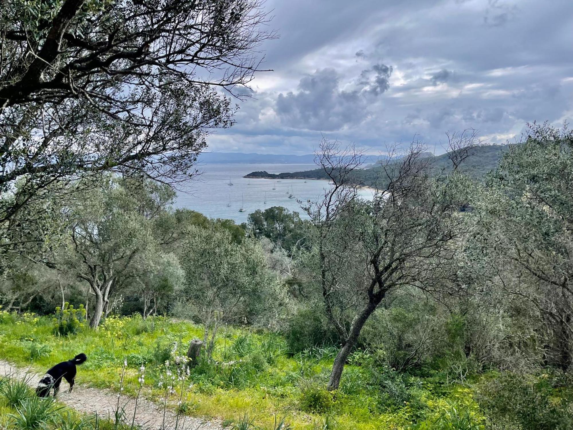 Latitudes 43 Lejlighed Porquerolles Eksteriør billede