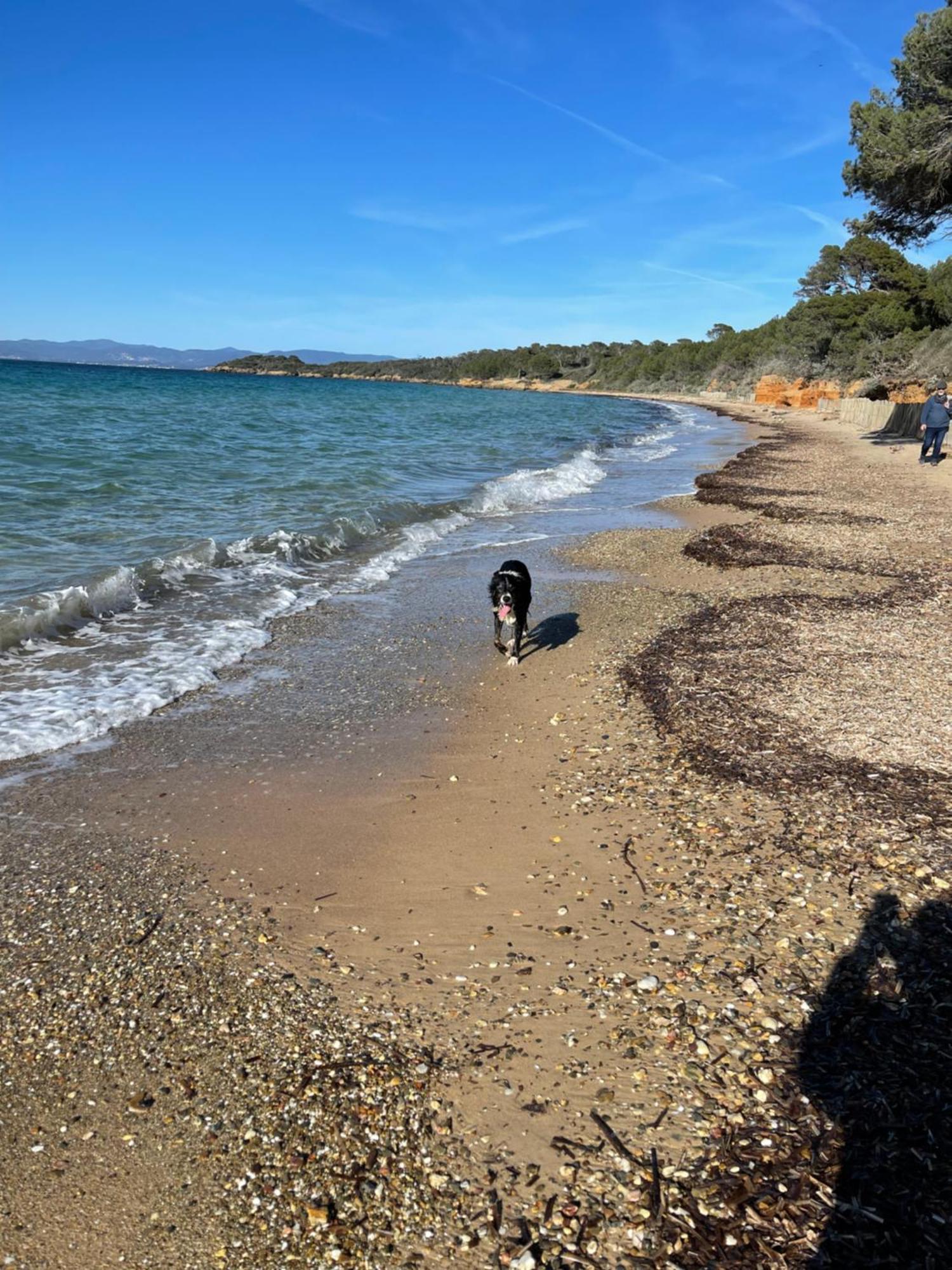 Latitudes 43 Lejlighed Porquerolles Eksteriør billede