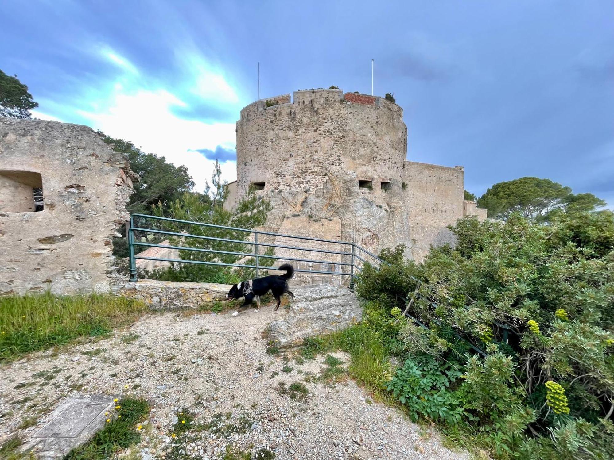 Latitudes 43 Lejlighed Porquerolles Eksteriør billede